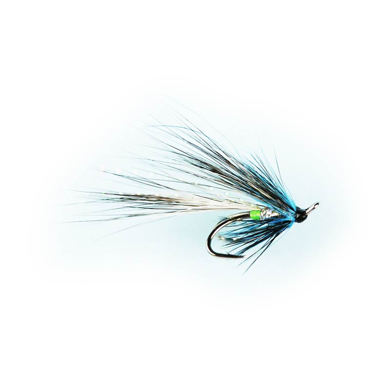 Caledonia Morning Glory Shrimp Double Fly