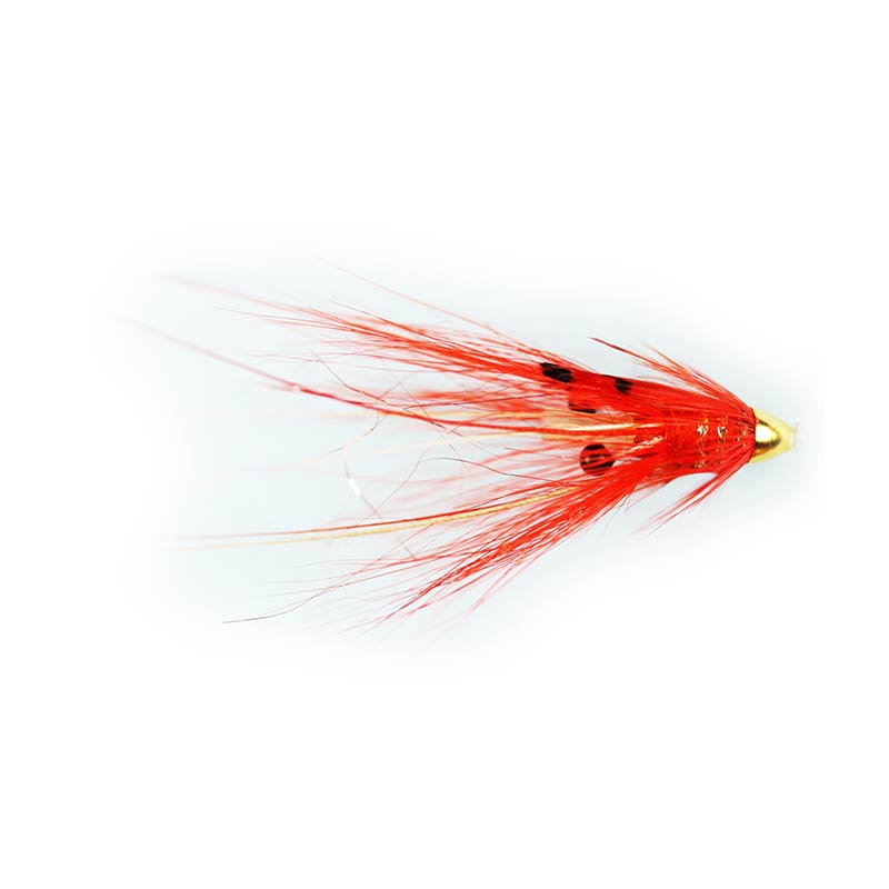 Caledonia Islamouth Shrimp Fly