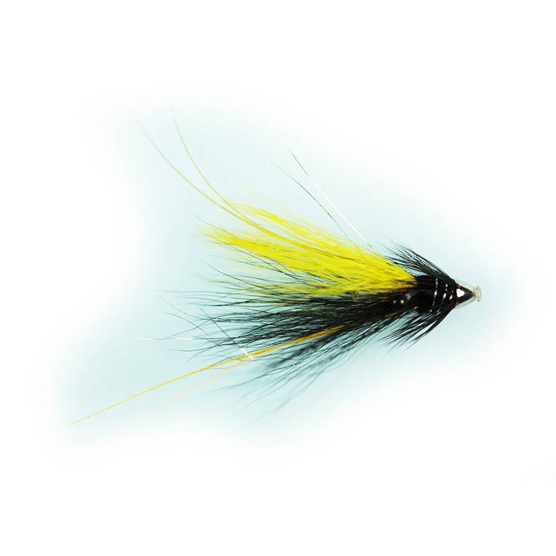 Caledonia Spey Shrimp Piglet Fly