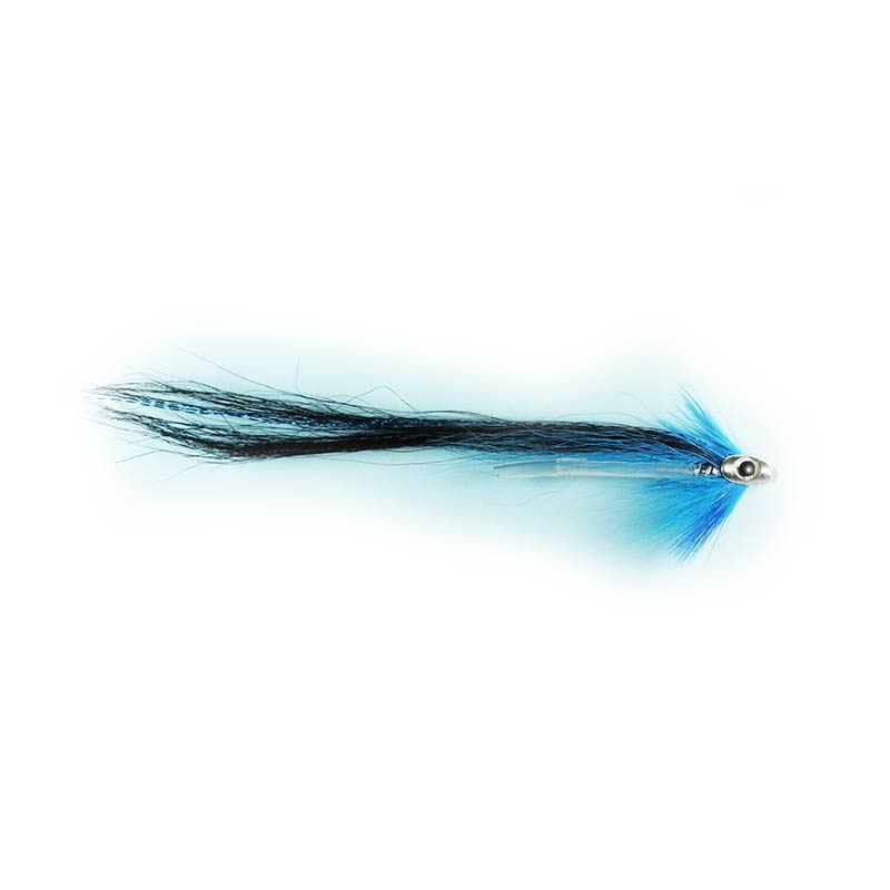 Caledonia Blue Monkey Skull Fly