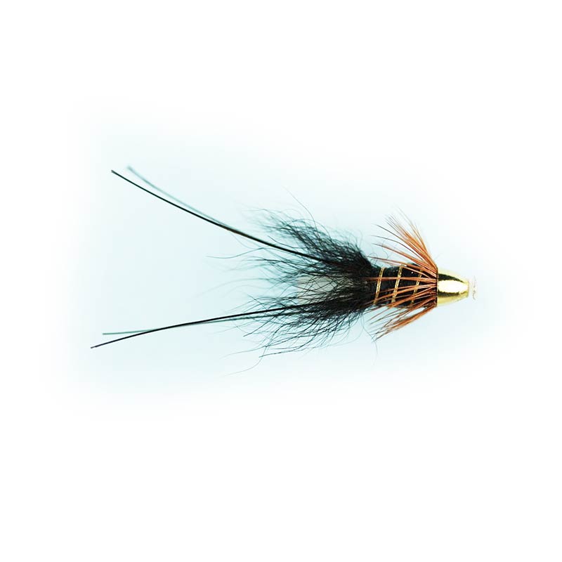 Caledonia Black Francis Fly