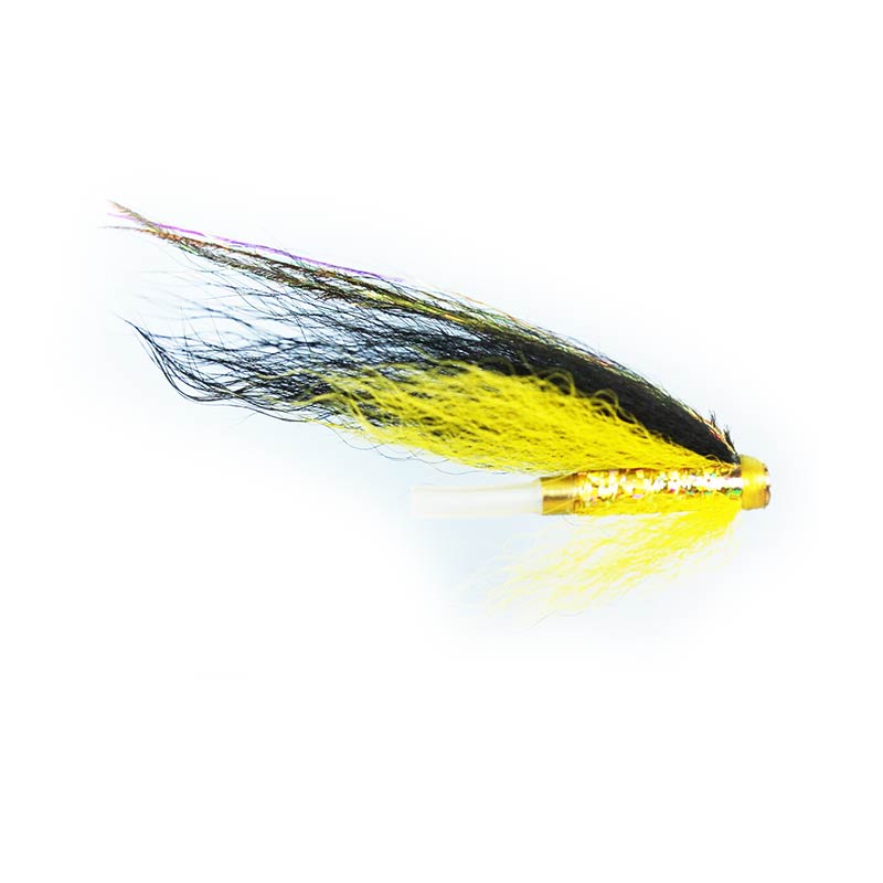 Caledonia Black & Yellow Loop Tube Fly